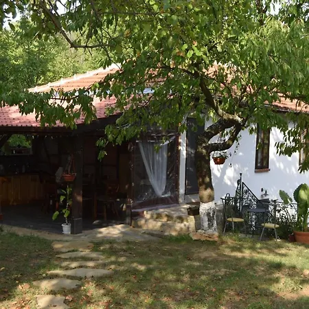 тихия кът * Malchovtsi